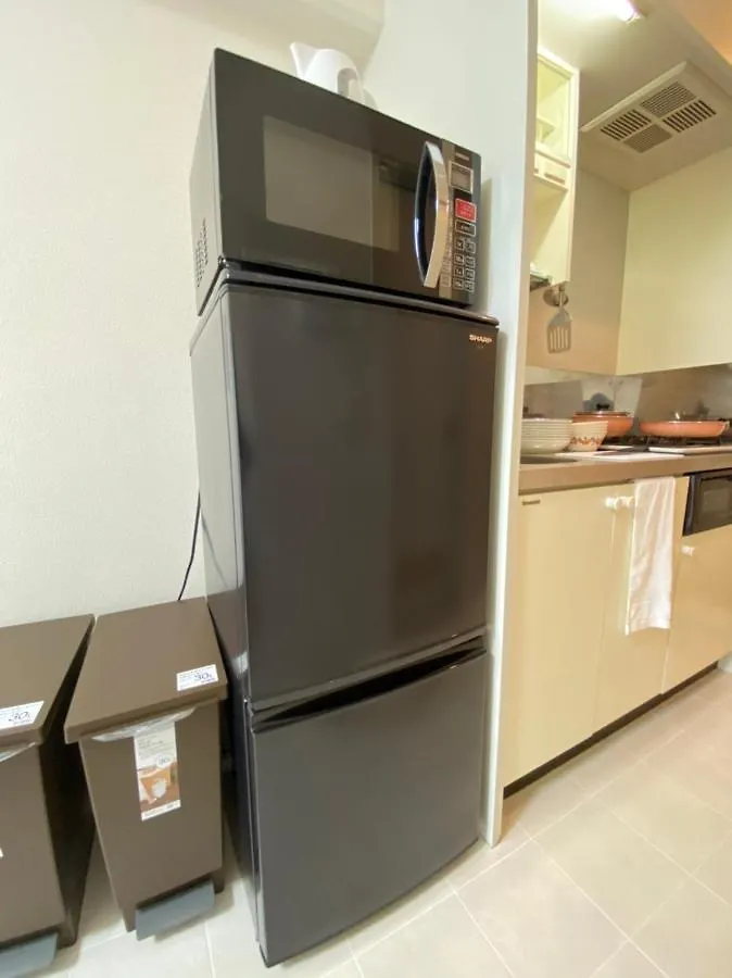 Maison De Grue 528 メゾンドグルー Apartment Sapporo